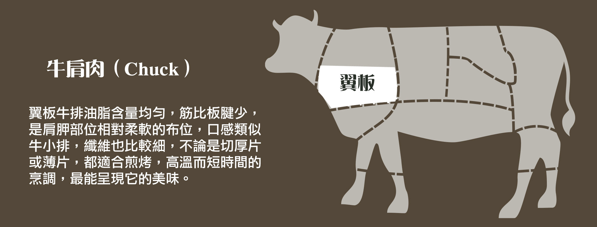 牛肩肉(Chuck)部位圖,白色標示翼板(板腱)在肩胛的位置,說明翼板油脂均勻、筋比板腱少、纖維細,適合高溫短時間煎烤