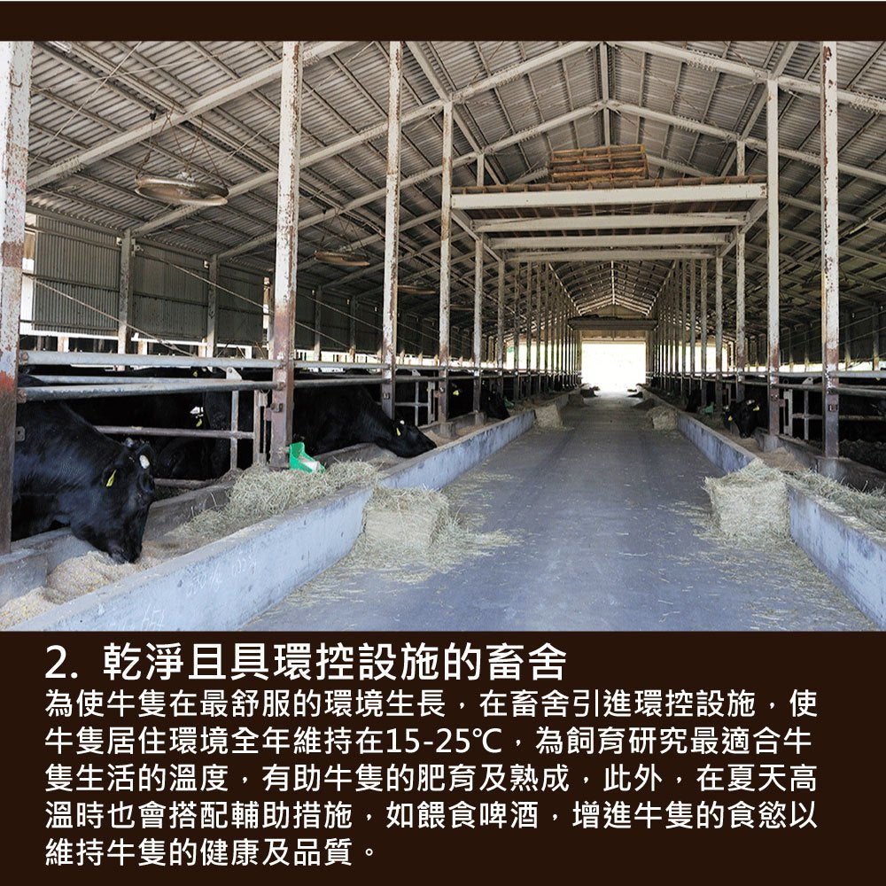 漢克嚴選 美國 PRIME 和鑽牛肋眼牛排 2 片(免運組) 商品圖 7