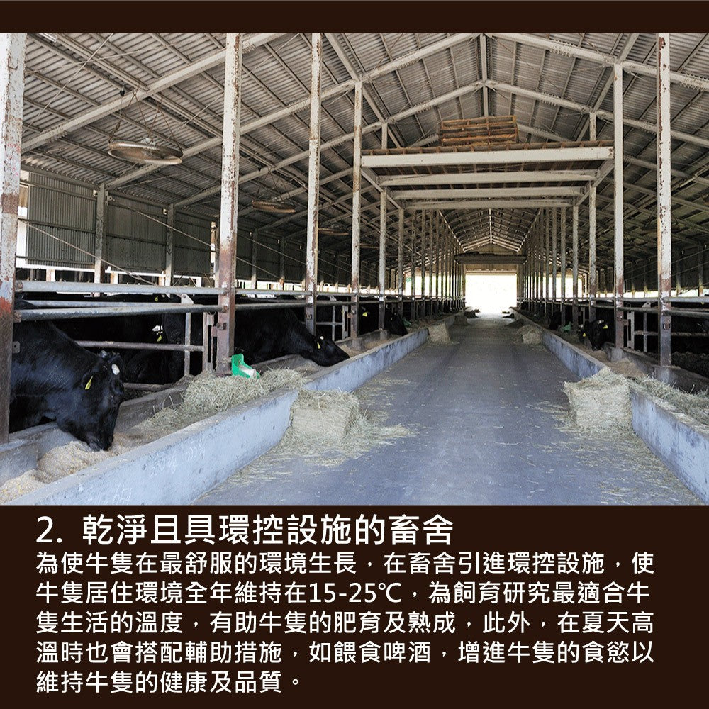 漢克嚴選 美國 PRIME 和鑽牛肋眼牛排 商品圖 7