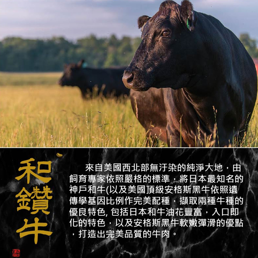 漢克嚴選 美國和鑽牛雪紋無骨牛小排燒烤肉片 商品圖 2