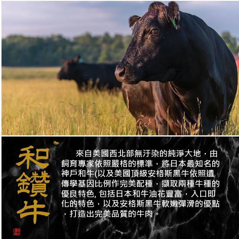 漢克嚴選 美國和鑽牛 PRIME 雪花翼板牛排 商品圖 2