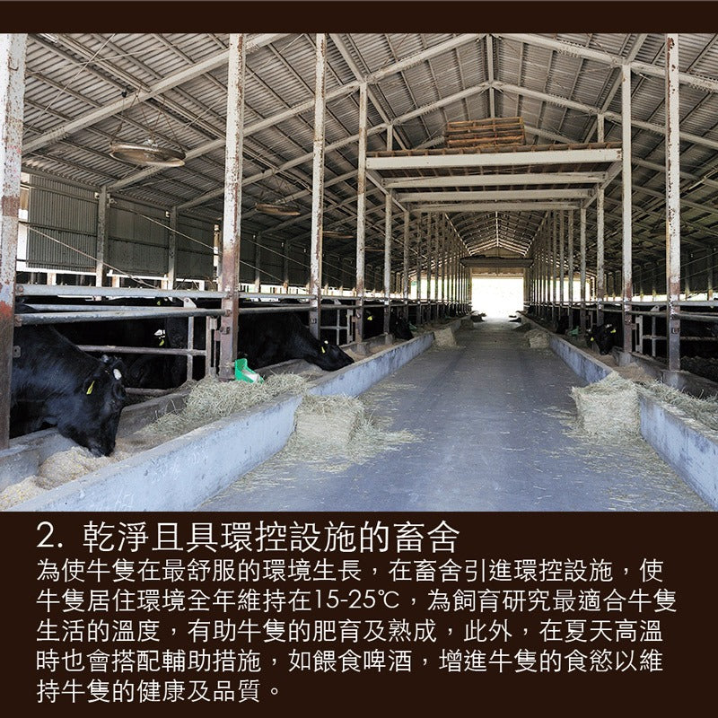漢克嚴選 美國 PRIME 和鑽牛肋眼牛排 2 包(免運組) 商品圖 7