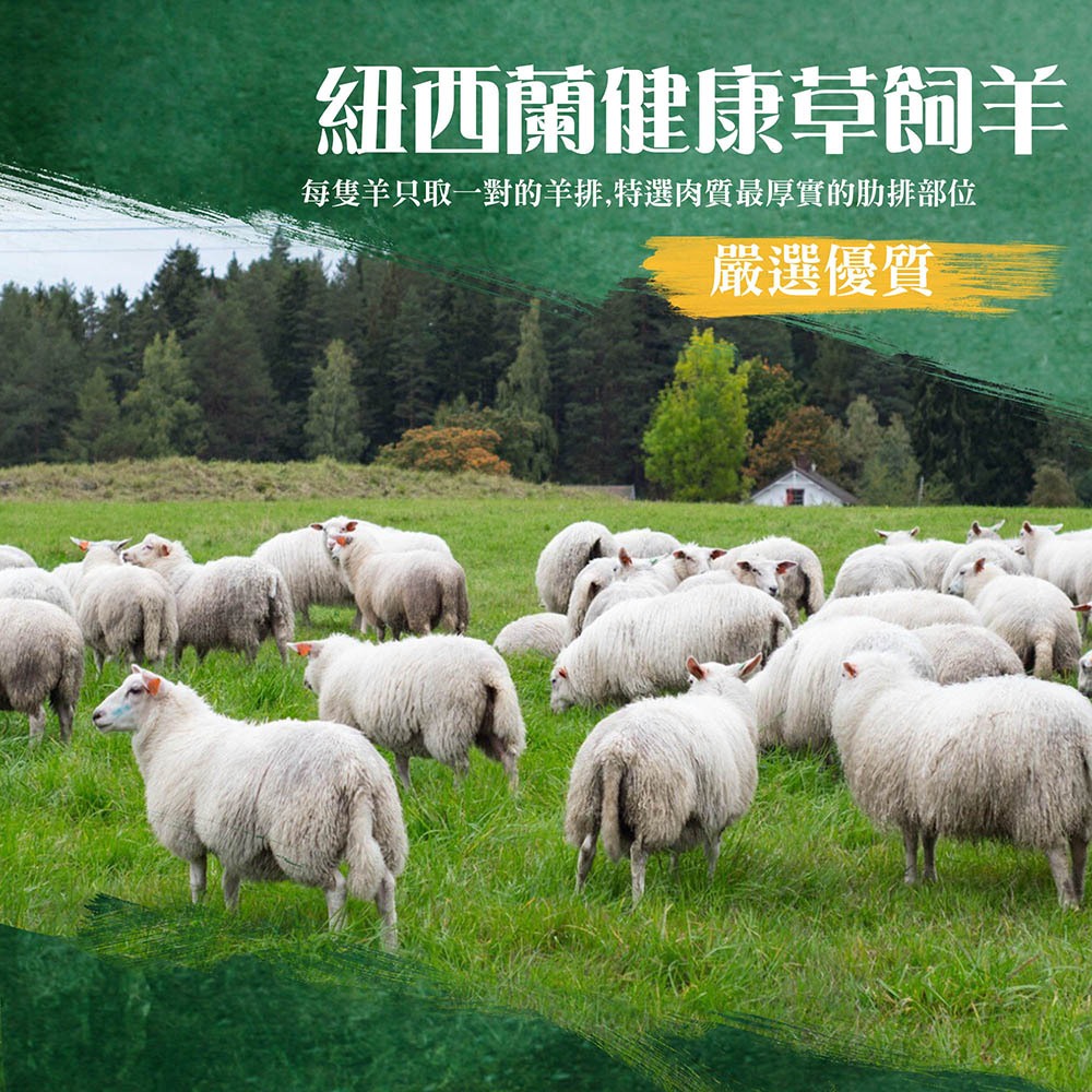 漢克嚴選 紐西蘭法式帶骨羊排 商品圖 5