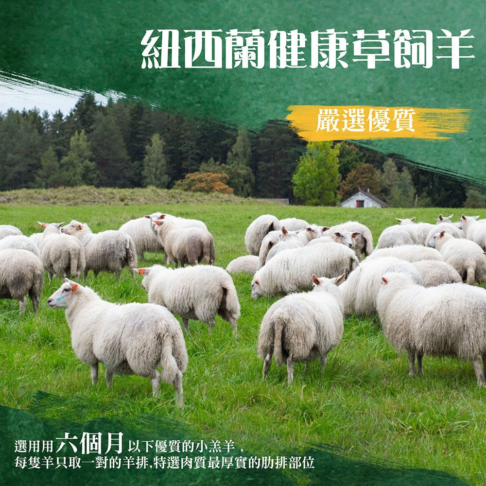 漢克嚴選 紐西蘭小羔羊法式帶骨羊肩小排 商品圖 4