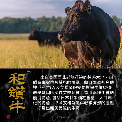 漢克嚴選 暖心暖胃海陸火鍋 7 件組 商品圖 2