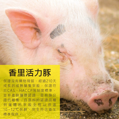 陳記好味 香里豚鮮蝦鮮肉手工大雲吞 商品圖 6