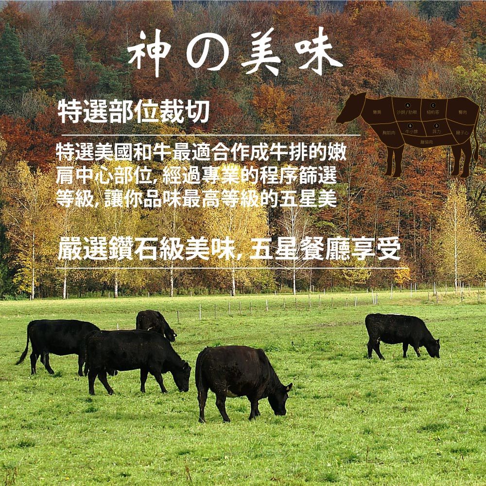 漢克嚴選 和鑽牛 PRIME 級雪花凝脂嫩肩牛排(促銷) 商品圖 5