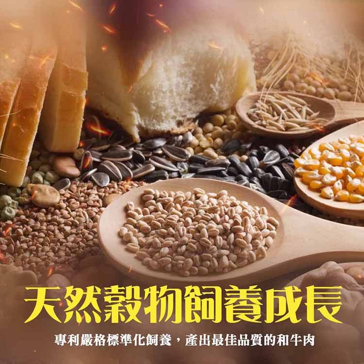 漢克嚴選 純血澳洲和牛極品無骨牛小排 商品圖 2