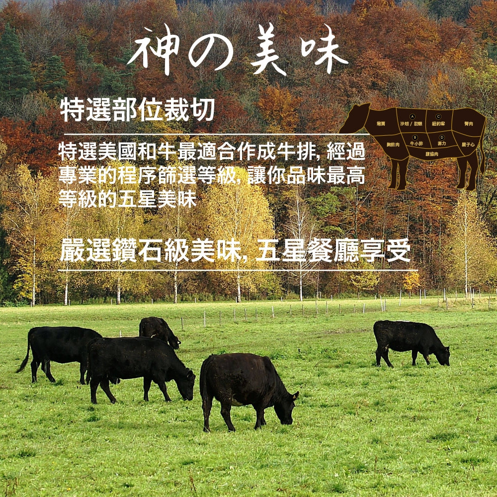 漢克嚴選 美國和鑽牛厚切 2cm 菲力牛排 商品圖 3