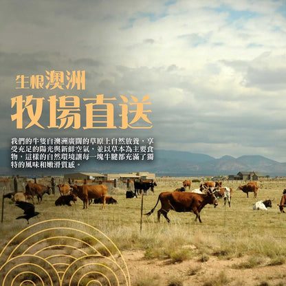 漢克嚴選 澳洲源神穀飼牛腱條 商品圖 2