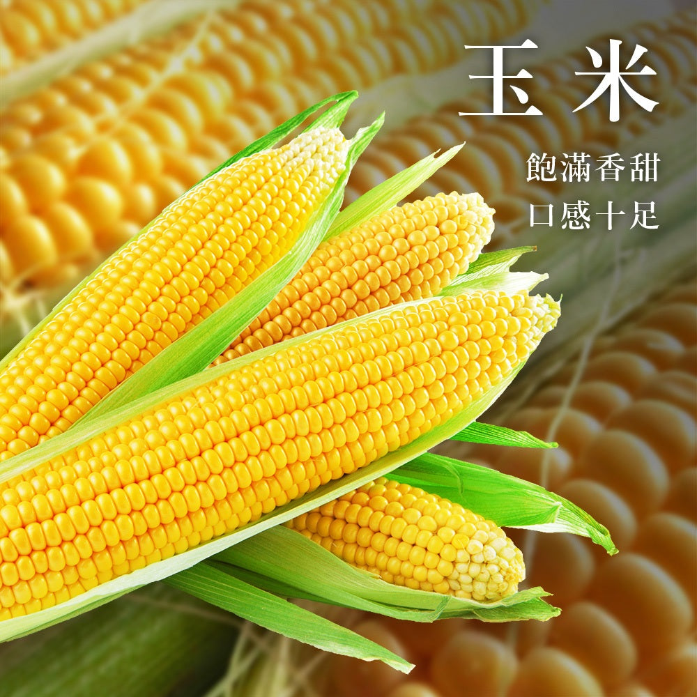 陳記好味 飽滿元寶手工水餃-高麗菜(促銷) 商品圖 5