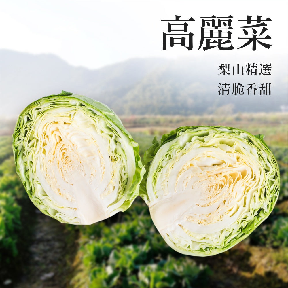 陳記好味 飽滿元寶手工水餃-高麗菜(促銷) 商品圖 3