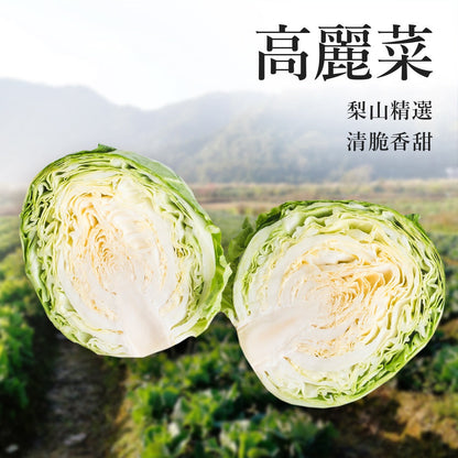 陳記好味 飽滿元寶手工水餃-高麗菜(促銷) 商品圖 3