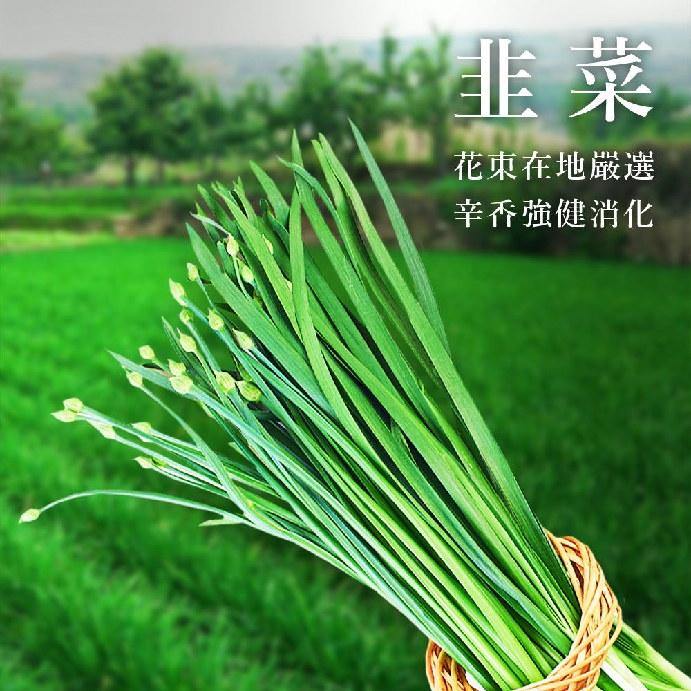 陳記好味 飽滿元寶手工水餃-高麗菜(促銷) 商品圖 4